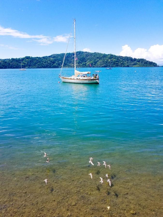 Fish Hook Marina Hotel Golfito Kültér fotó